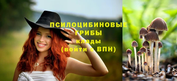 ALPHA-PVP Верхний Тагил
