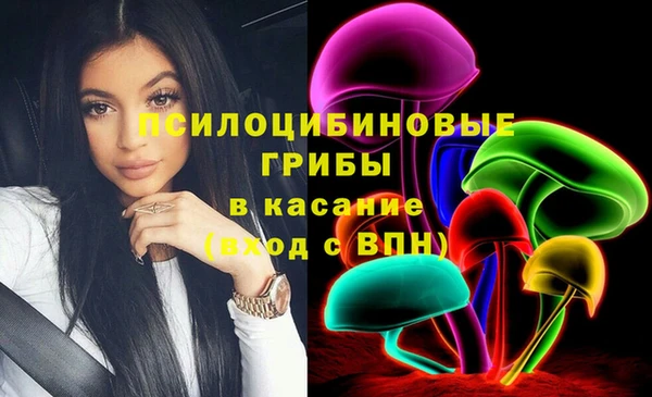 тгк Заречный
